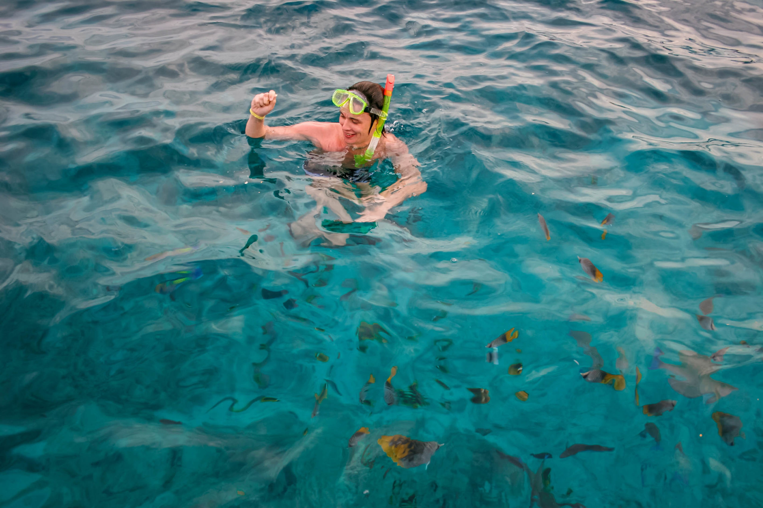 scuba diving Aqaba