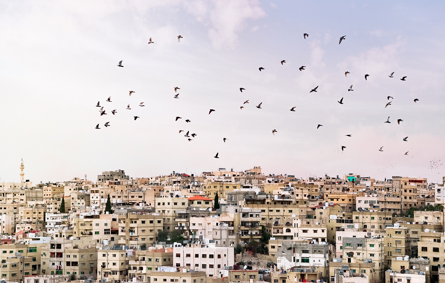 Amman
